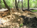 19.05.07. В Департаменте природопользования это называется 'восстановление сильно нарушенных почв'...